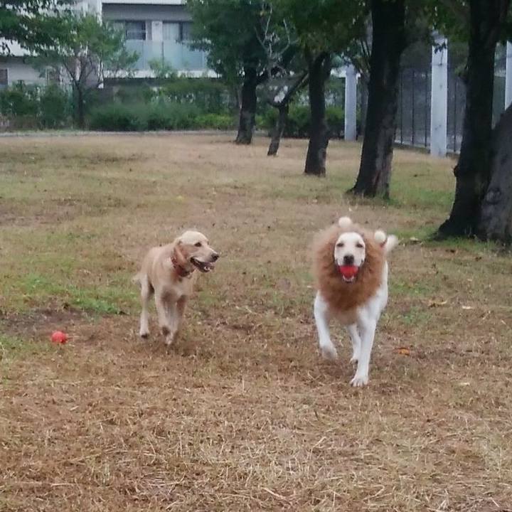 93b72822 0d22 43a1 9409 d1342bab6ff9