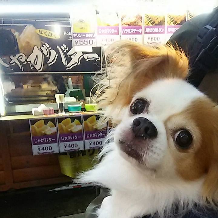 93b750b9 270b 41ad a269 0592e7870286