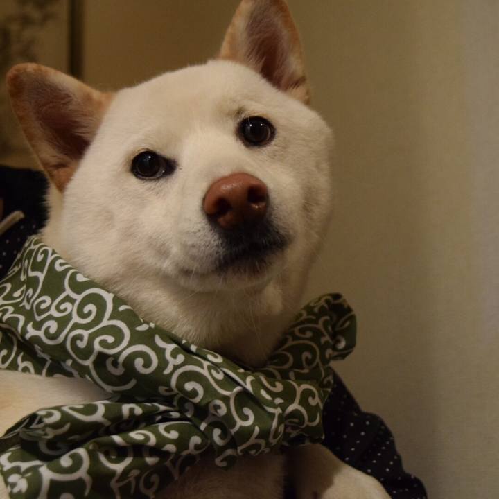 93b7f8e3 3175 4bc7 9f4f 8beda950f8bb