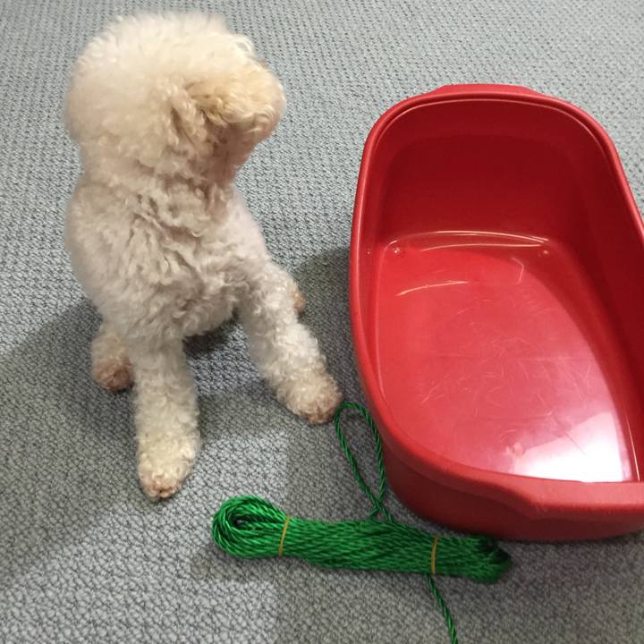 93b89966 5097 40d8 b2ae 18ab1364f046