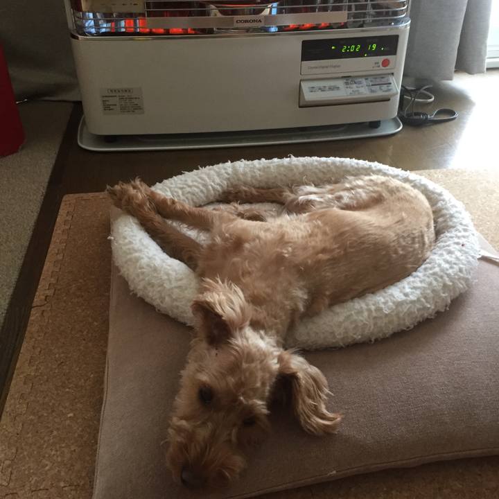 93b93a44 13ff 403e ac81 66fa24b659cb