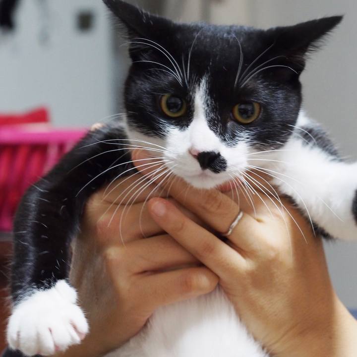 93b99e94 2ee7 46aa 92cb a31229999352