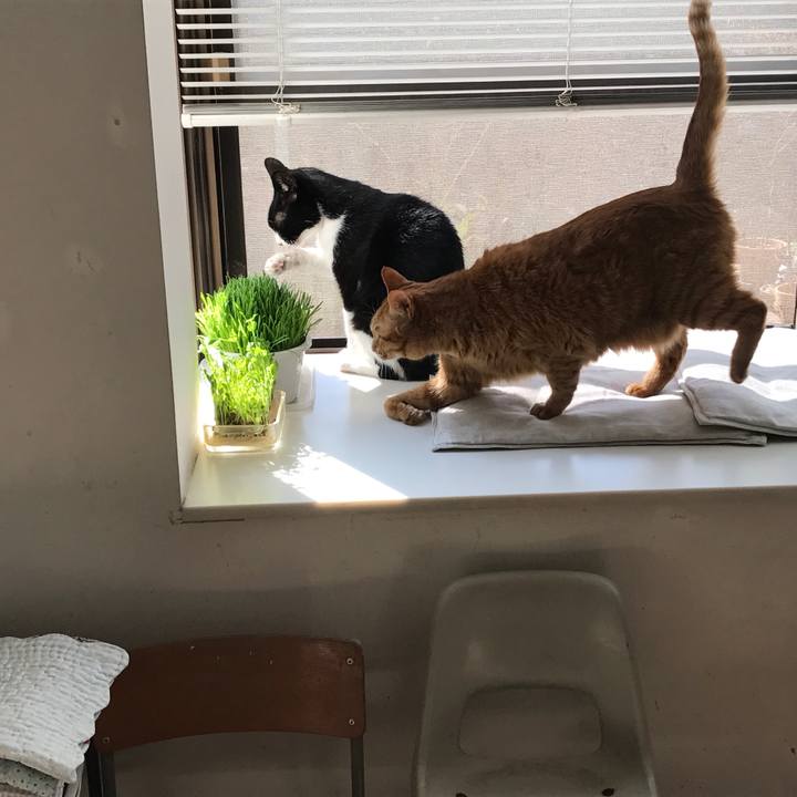 93b9aa39 4fce 4306 8352 31335d4d75fe