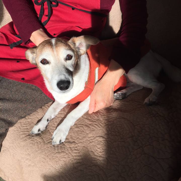 93b9d12c 86eb 41a3 942e cfb46ac6eb3a