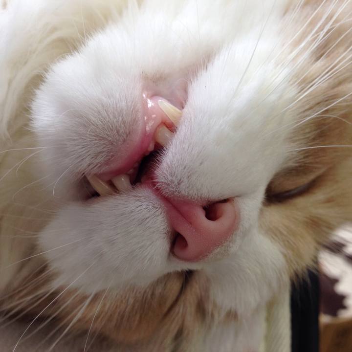 93bab8d6 31f5 4def 9d93 8a6f8b9e6c58