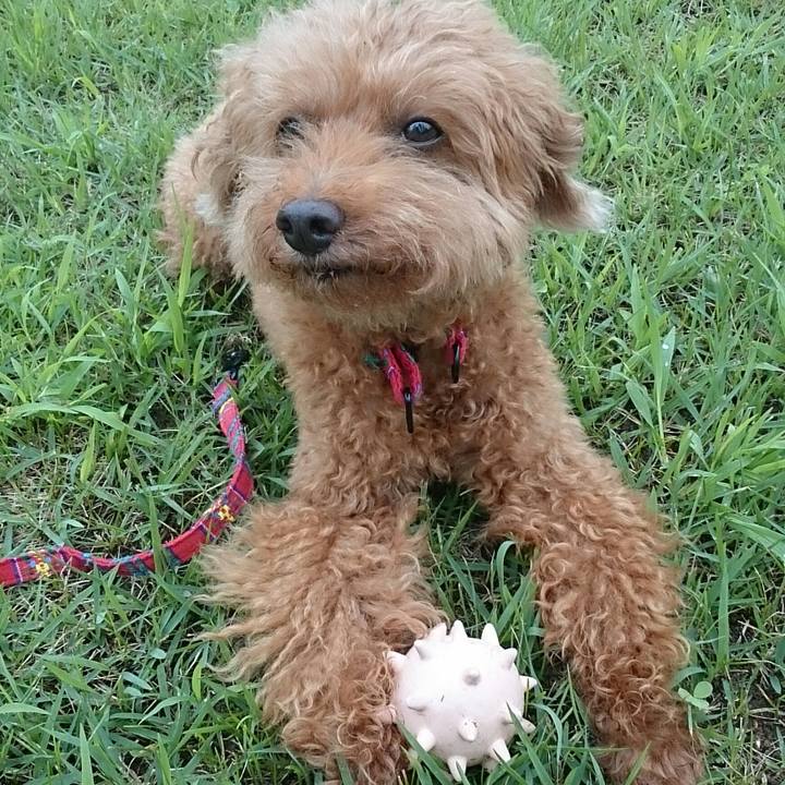 93bac2a1 bfc4 4e20 808e da90efeab16d