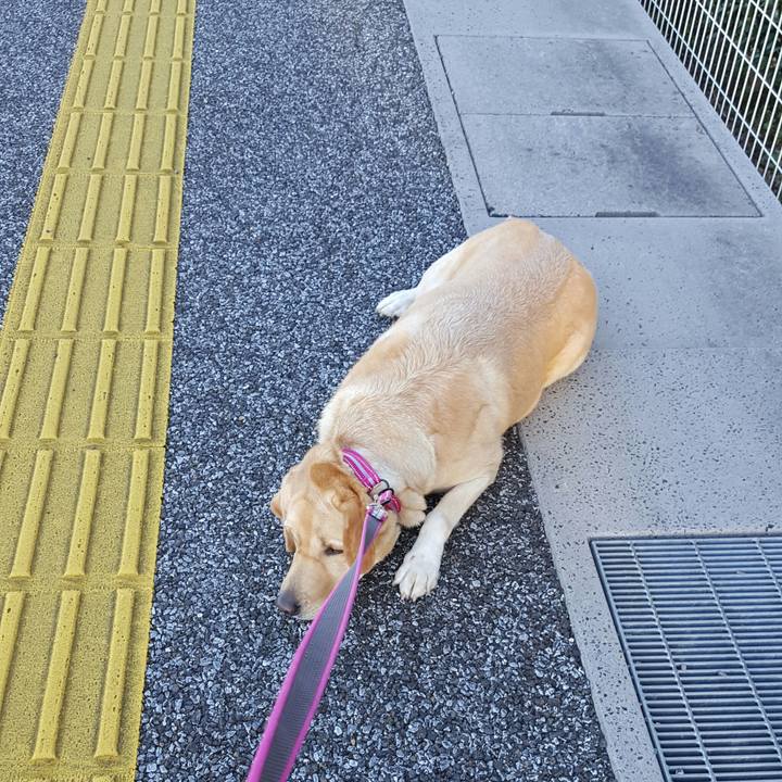 93bad059 8f06 49f1 a7a6 ccce08c6deca