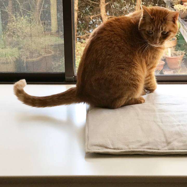 93bb68d7 1ef5 4903 843e 5dde889b6b60