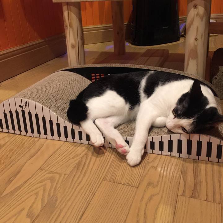 93bb863f 8497 4f9e ace0 e031d884a0bb