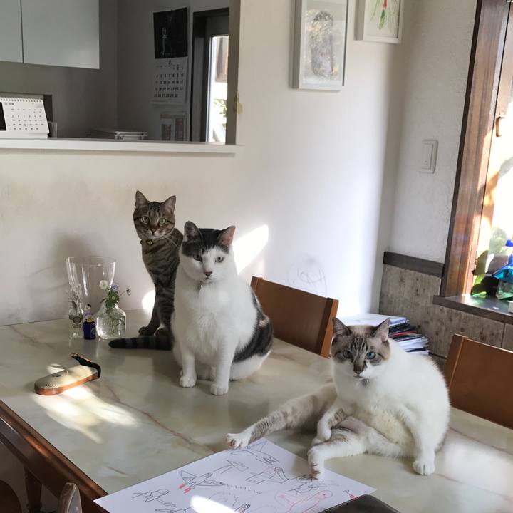 93bc9f88 6ee6 4a40 97f3 41f8235d573d