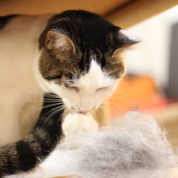 93bce42d b33c 4a4b af9f f54835f767bd