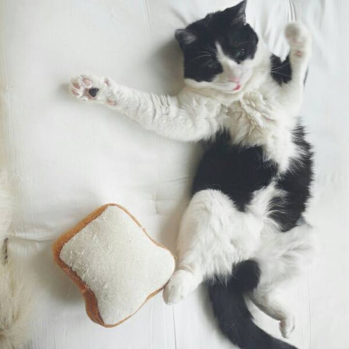 93bd3d9b 790d 40e0 86f4 8d63c16288e4