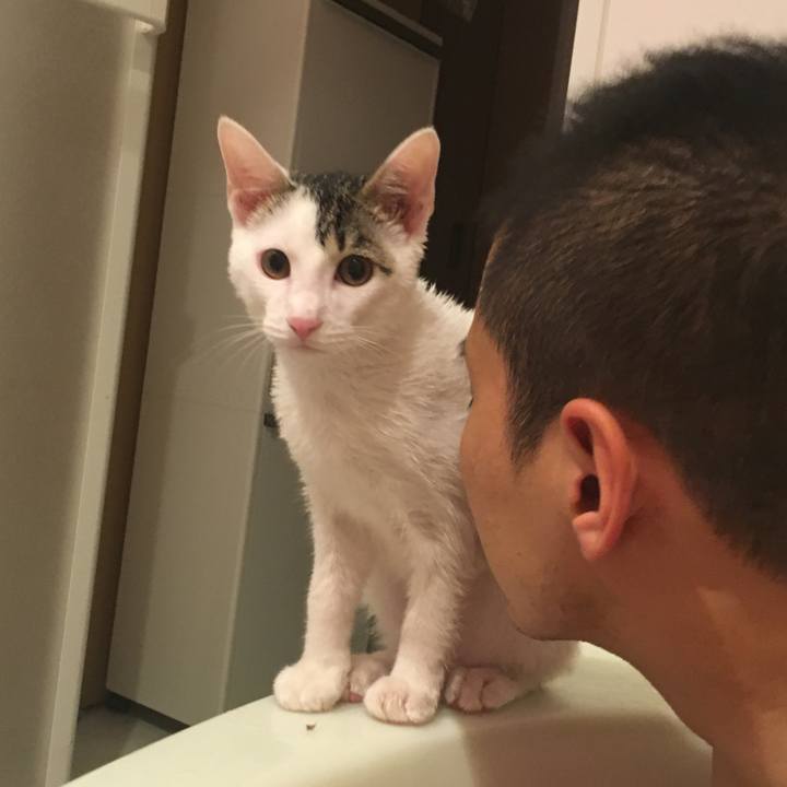 93bd558f d8ac 4c4d 83fa f26e20fe3ed1