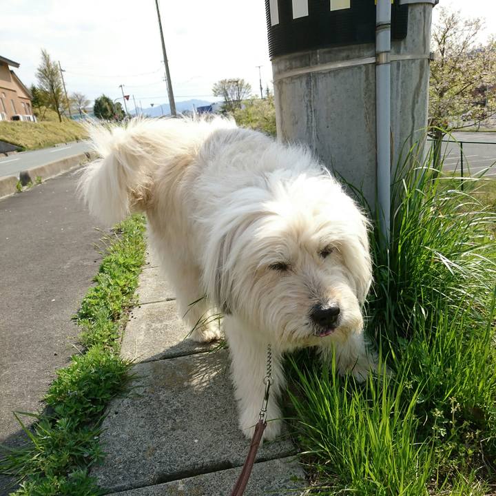 93bd62e8 5fb8 4780 a43d 5655f77f8f15