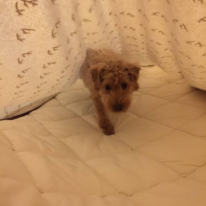 93bdf1d7 0720 4f7a 90ca b4fd332f0a82