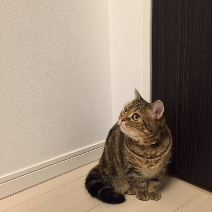 93be7c44 5e9e 473d 8208 2b0f0cd905c1