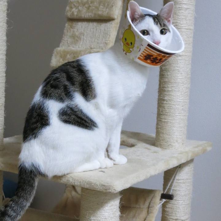 93bf25eb a853 49e4 a02f b3ff2472ae72