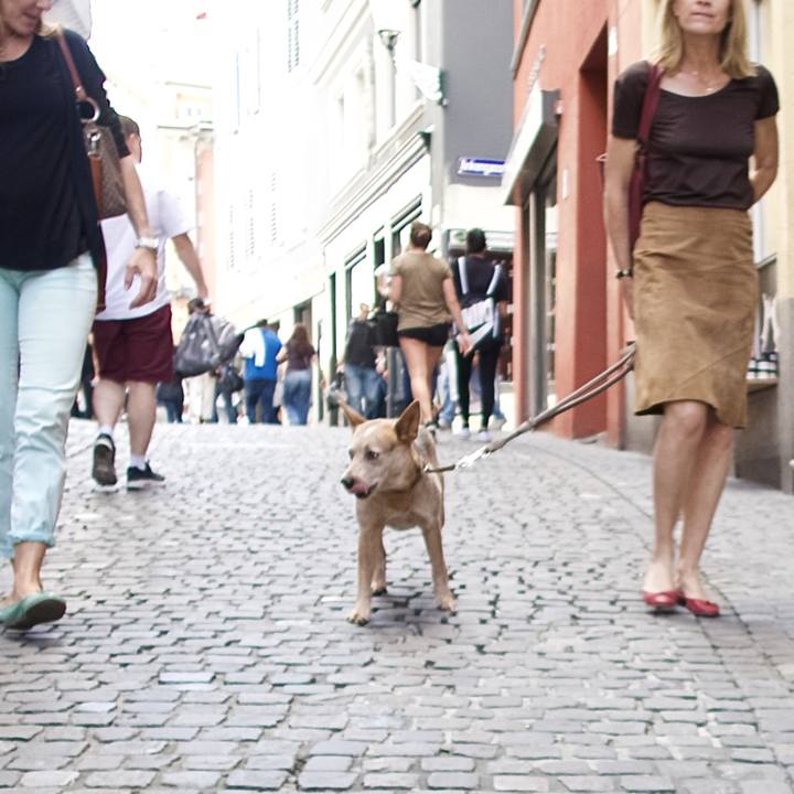 93bf6b32 1acf 4b18 877b b6f6d52cf8f9