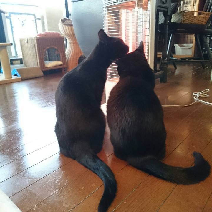 93bf7e6c 9603 4afd b08a 2469a31f2cfb