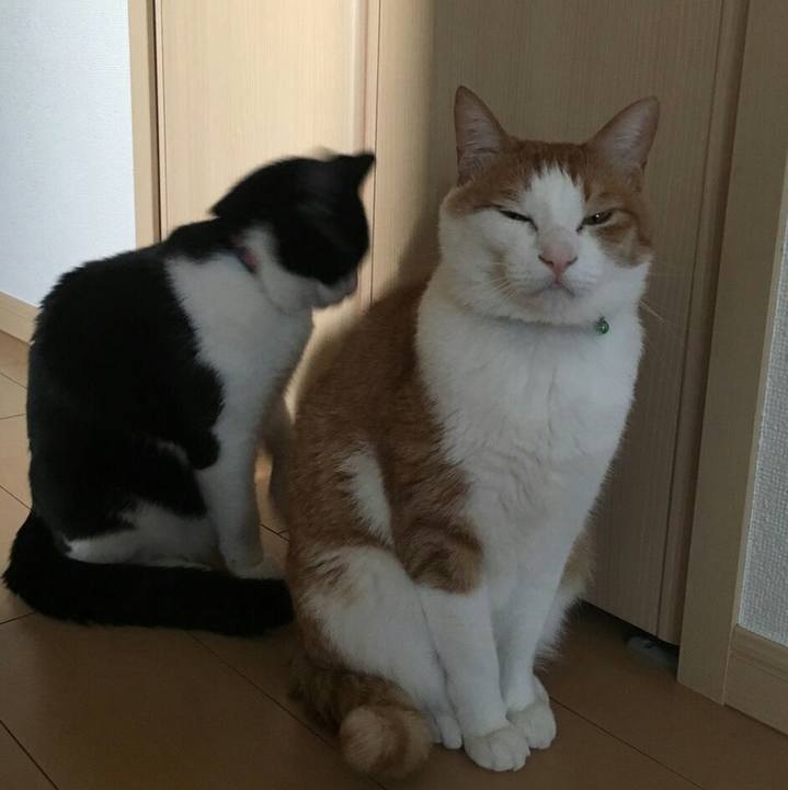 93bf81a2 ff71 4bf8 a7ce f8eb8276fd89