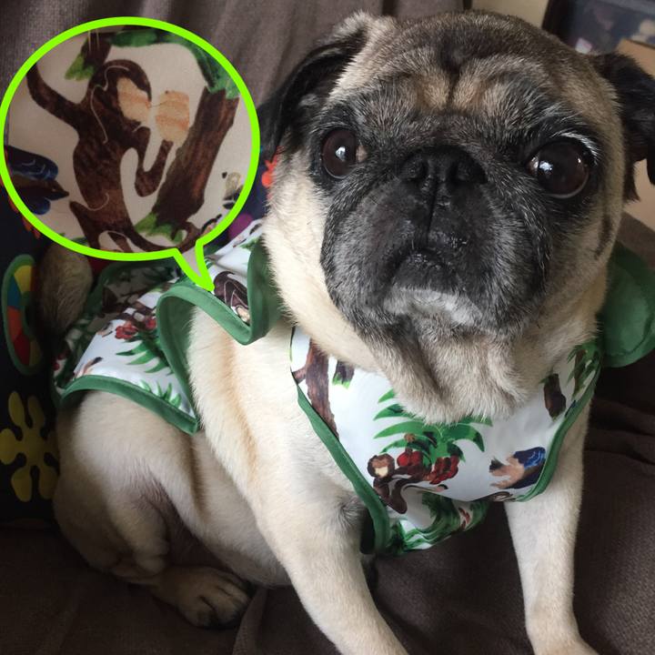 93bfdf04 2139 424b 9730 13f318dad1b5