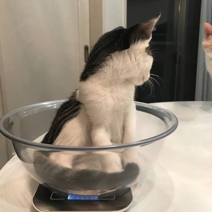 93c0da34 df8e 4b3b a38b da52e122f08b