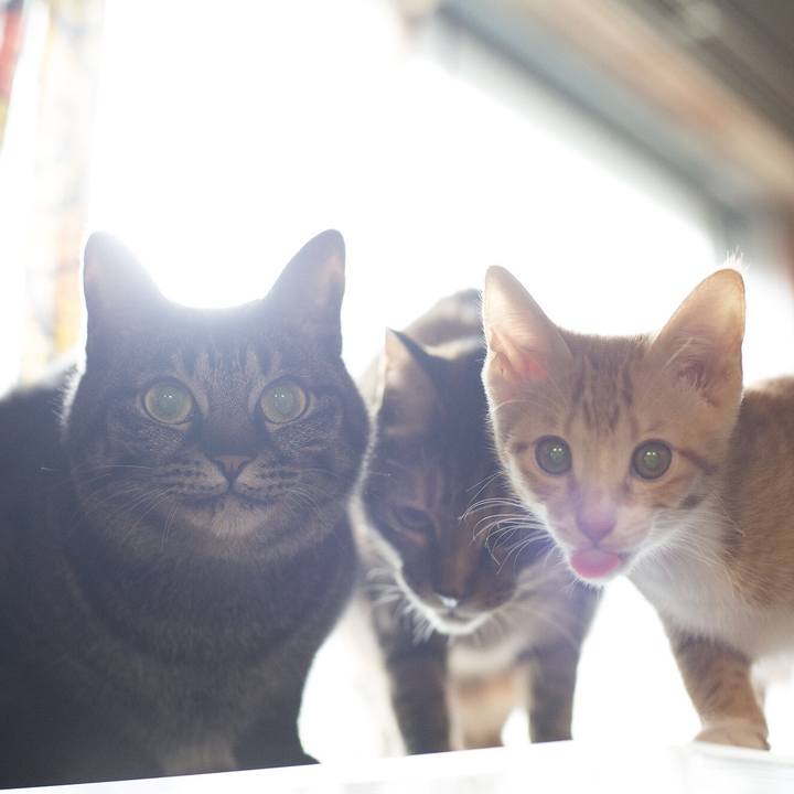 93c0e8bc 1042 4183 84ab ce7d3a200262