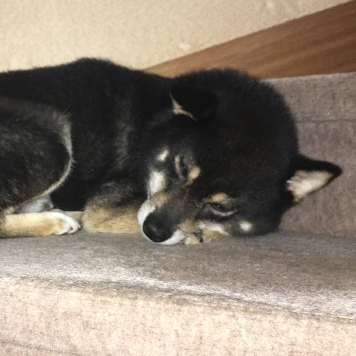 93c137a7 8100 45c9 8fe2 6f41babf4b5d