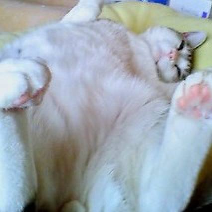 93c1c810 dd2a 4a82 b705 8f106e8a89cd