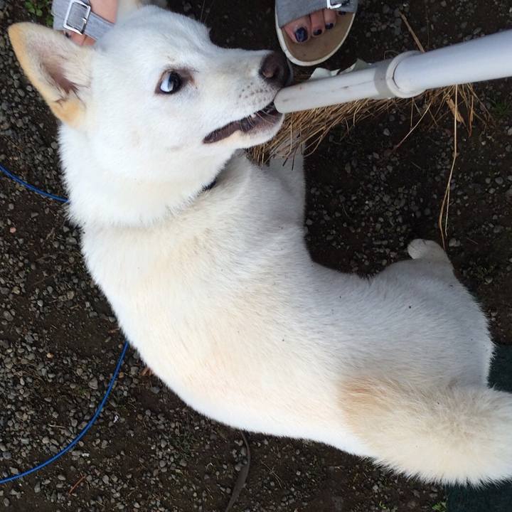 93c2a87a 085a 49a5 af78 4353c8f7d8d3