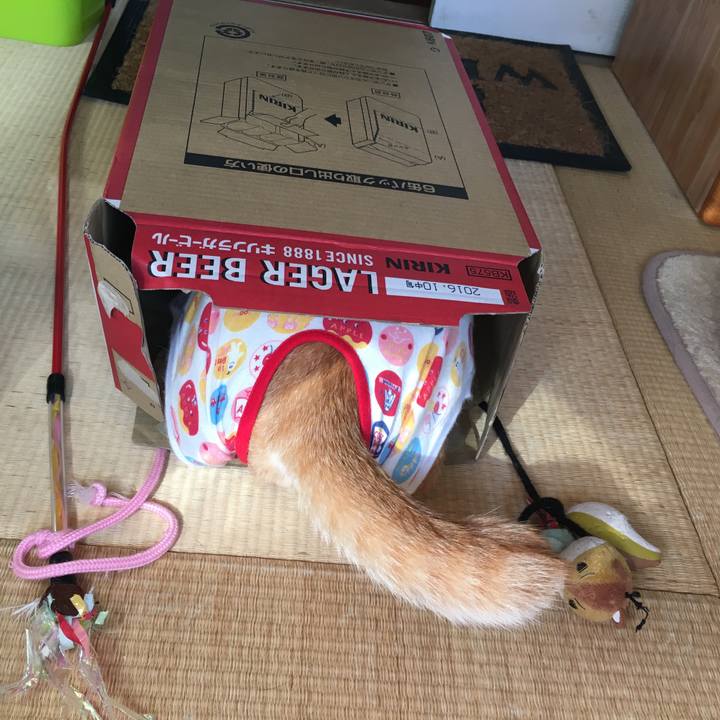 93c2cc85 0ff8 4d31 9cf0 18c9efc0fabb