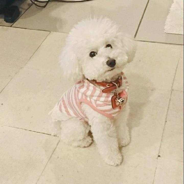 93c34bf2 6c47 4f0b bbfe 2a4c02ea4680