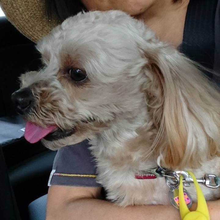 93c36f73 8f0a 4936 bdf6 7b12ad07366b