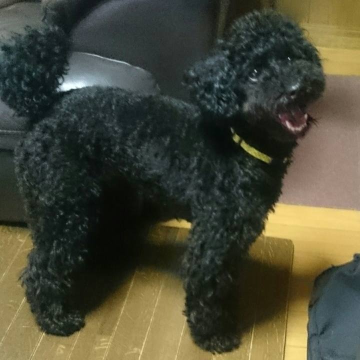 93c4143f e304 4c25 8baf 48247d674f29