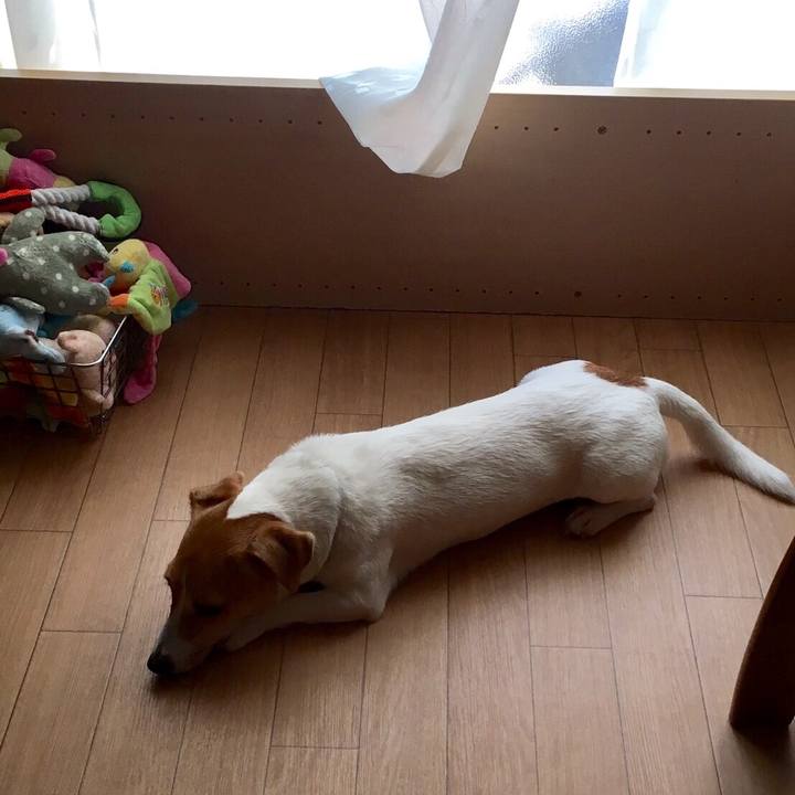 93c486ed b2de 4ee7 9148 a86a7752c041