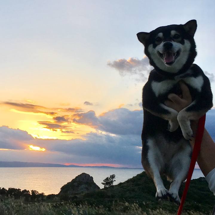 93c4c506 6dd5 4c61 8bdb 43dcef4a80fb