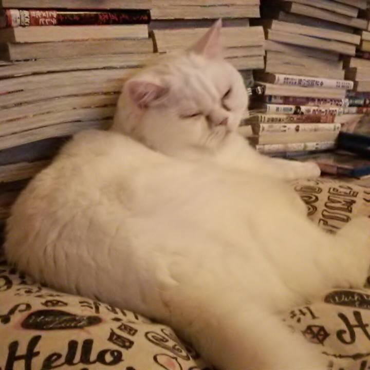 93c50177 bd8e 43f2 b0cd faae9a72757a