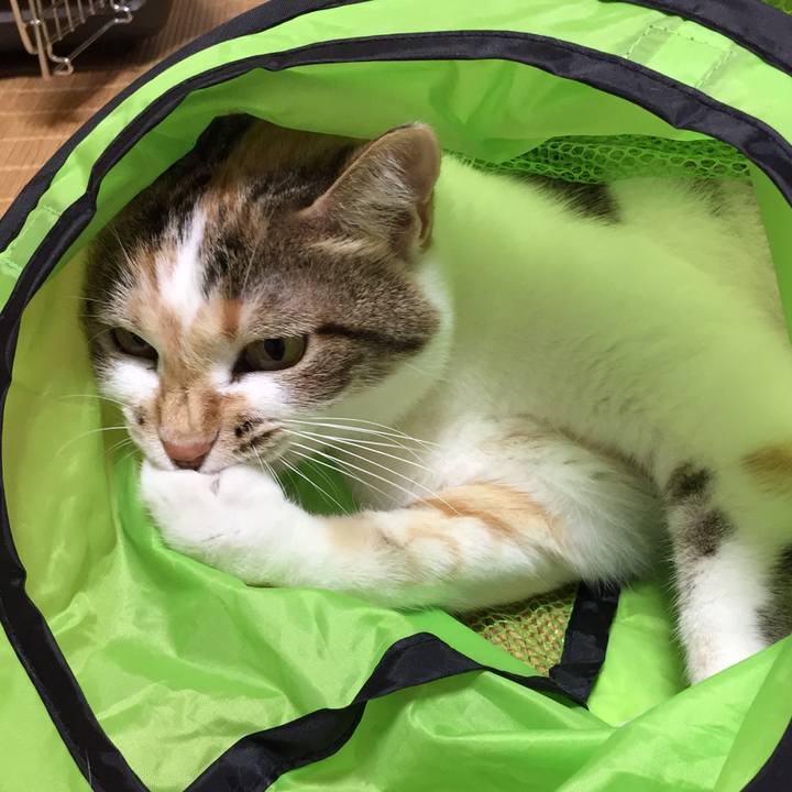 93c560d0 c82d 433c 8a8c 18be2bf6e842