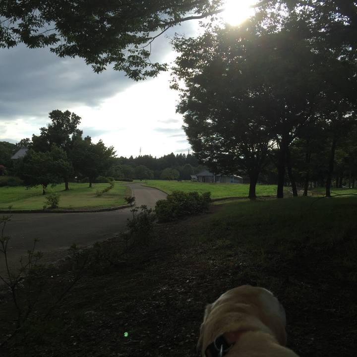 93c5702a 1dc9 4e28 8f90 3c9e560a6c75