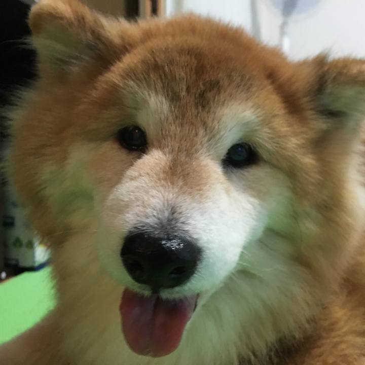 93c5b5a7 1568 4fce b131 09075cbf3091