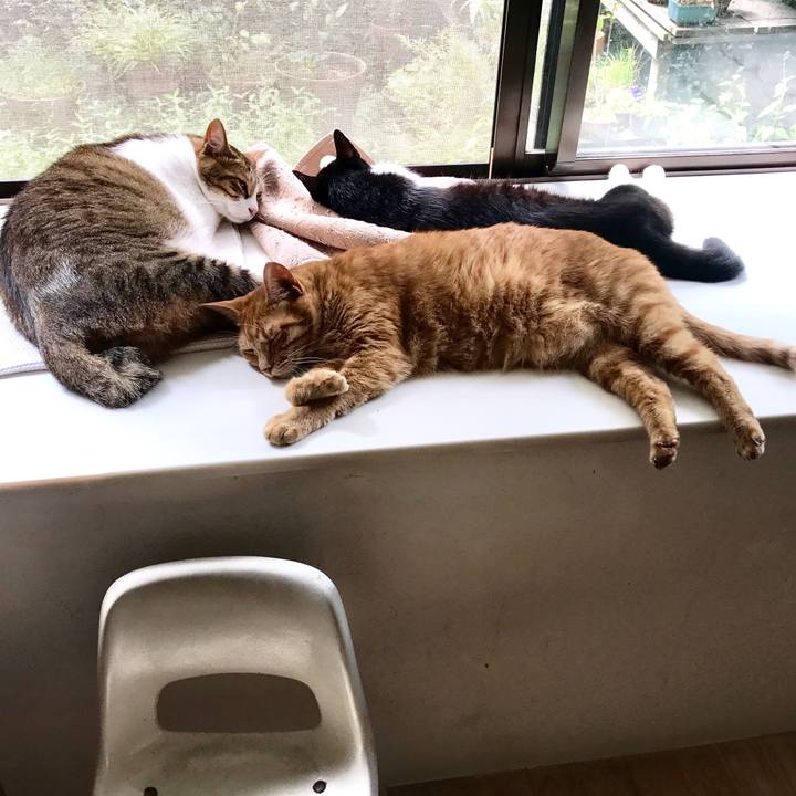 93c5fba8 2173 4c89 b22a 81a250170618