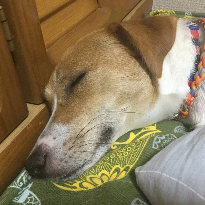 93c60c88 401b 4a10 b987 2f5d7d700ada