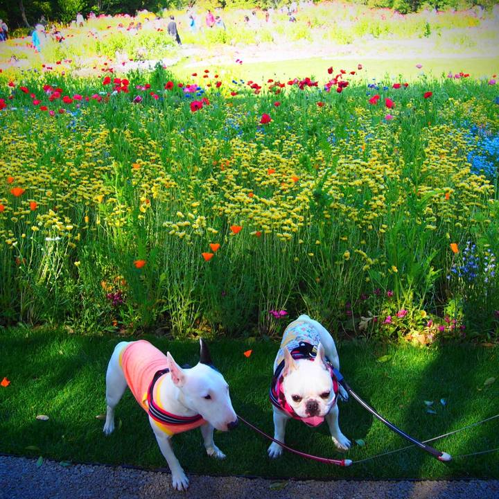 93c68ba5 0333 4f76 b746 32d988ef1f12