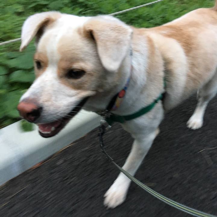 93c7f828 5bb9 4a69 a311 618c03e1018b