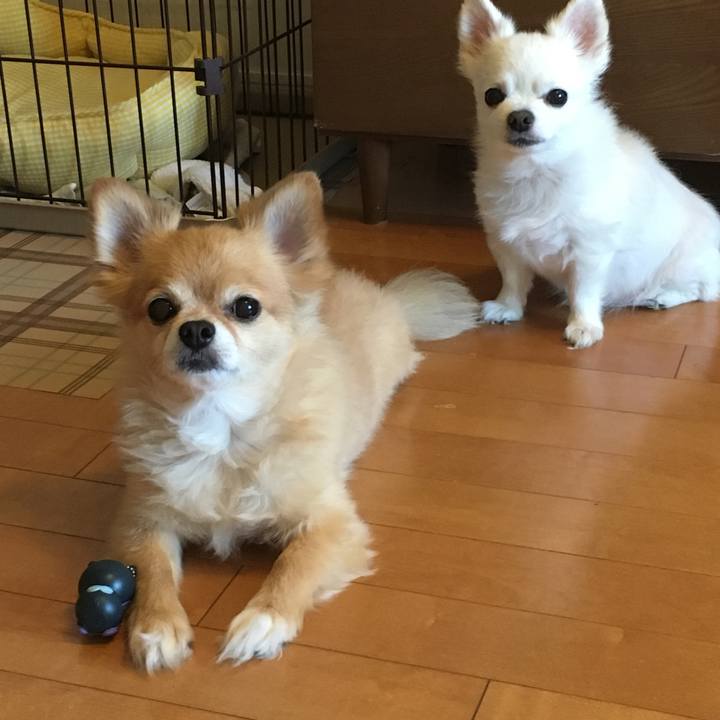 93c807f8 729b 4fa5 8fae 4e4df0bea718