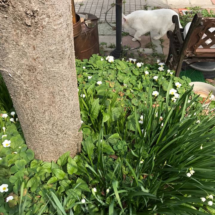 93c83cf7 a45e 4e9c 9cce 985ce28130bf