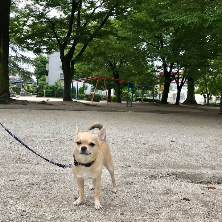 93c8cffb ed0f 46c6 ac1e 4d7d6ccced50