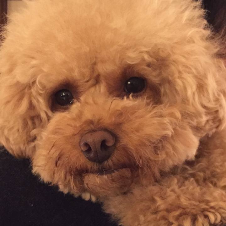 93c8f513 38fb 48f1 bf8a 261e2ccd0c76