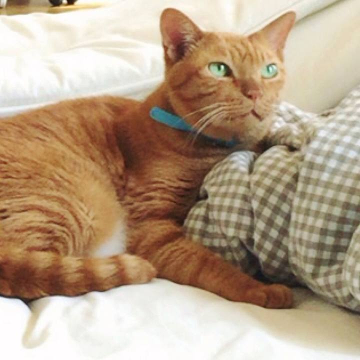 93c9a375 be48 4e60 ad9b cafb255fc734