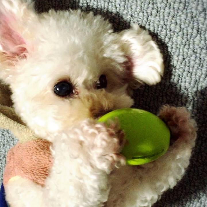 93c9beaf b67d 4013 a6ac 83d70c68be9c